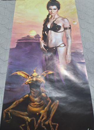 Lámina Star Wars Princesa Leia esclava