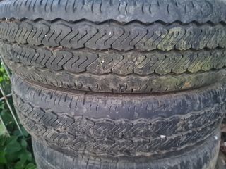 Neumáticos de coche