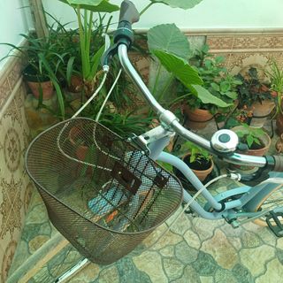 Bicicleta de mujer verde