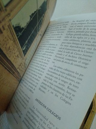 Salamanca (Guías artístico - turísticas) (Spani...