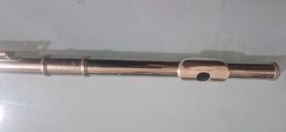 Flauta Muramatsu - Platos Cerrados