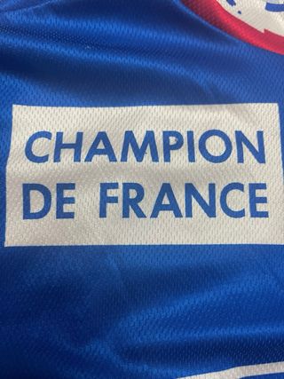 Maillot Ciclista Campeón Francia FFC