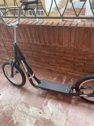 Patín de ruedas grandes