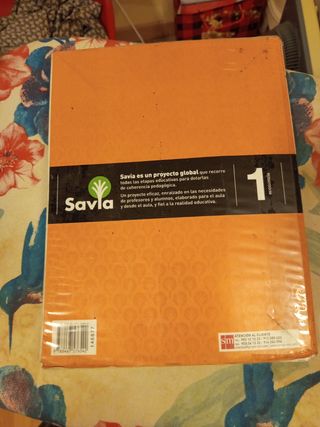 Economía. 1 Bachillerato. Savia (Spanish Edition)