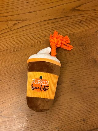Pupkin Spice Latte Gioco Cane