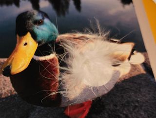 Los animales de la granja