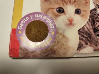 Gatito y sus amigos (Acariciame) (Spanish Edition)