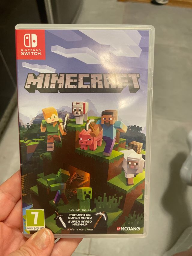 Minecraft Nintendo Switch