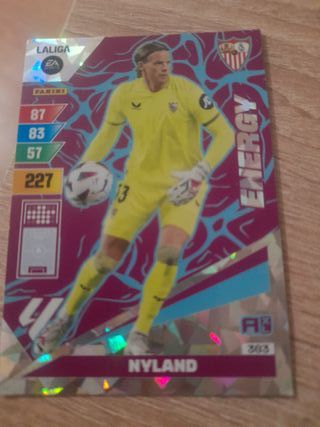 Cromo Fútbol ENERGY NYLAND