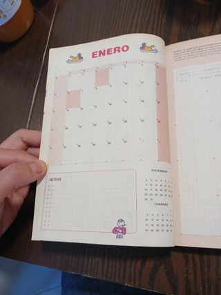 Libro Kakebo