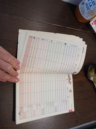 Libro Kakebo