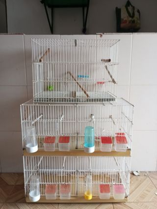 Jaula para pájaros blanca y transparente