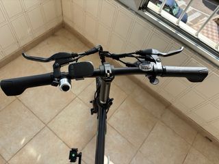 Bicicleta Eléctrica Fiido D21 Plegable