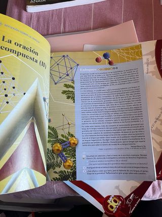 Lengua castellana y Literatura II 2º Bachillera...