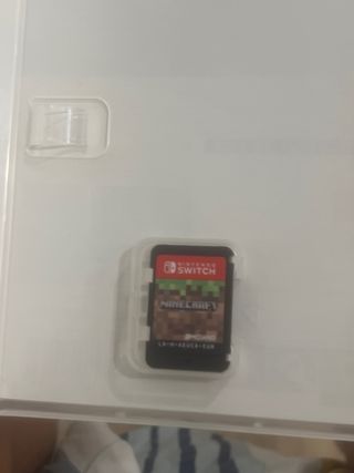 Minecraft Nintendo Switch
