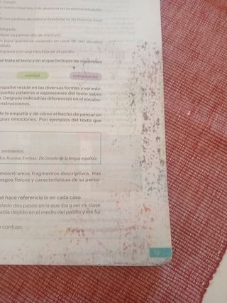 Lengua Castellana y Literatura. 4 Secundaria. R...