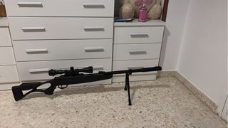Funda para escopeta