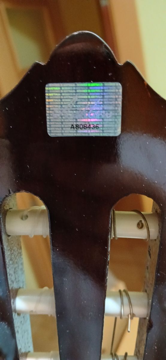 Guitarra española con funda