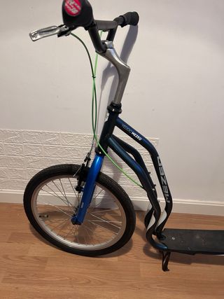 patin adulto