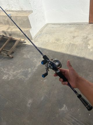 Caña de pesca casting con carrete 