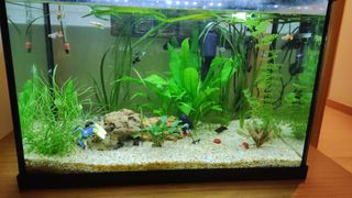 Acuario 120L