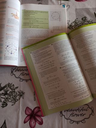 Física, Ciencias, Bachillerato 2