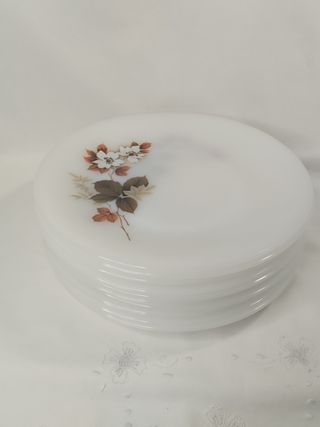 10 piatti piani Arcopal Almond Blossom