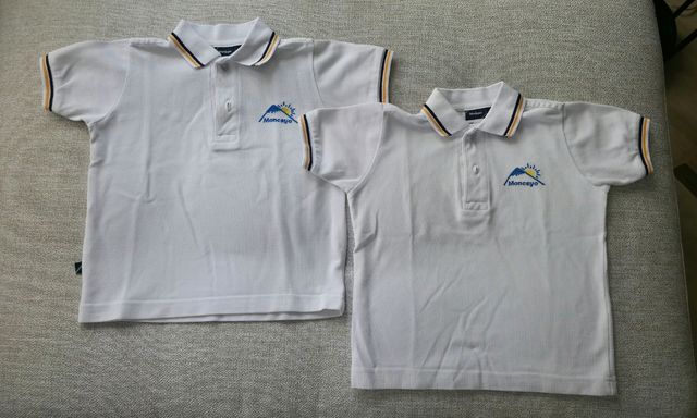 Lote 2 polos colegio Moncayo Talla 4