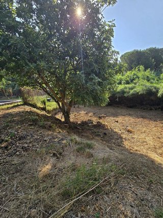 Terreno en venta en Vacarisses