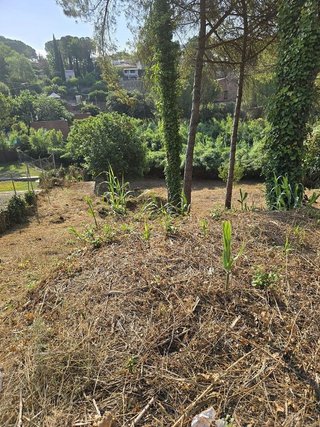 Terreno en venta en Vacarisses