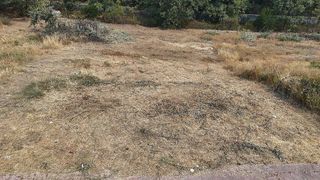 Terreno en venta en Jaraíz de la Vera