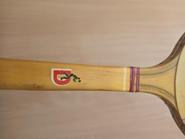 Raqueta Donnay Mercury