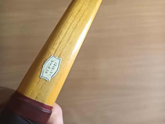 Raqueta Donnay Mercury