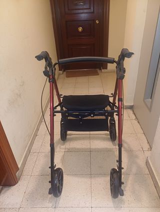 Andador 4 ruedas con cesta