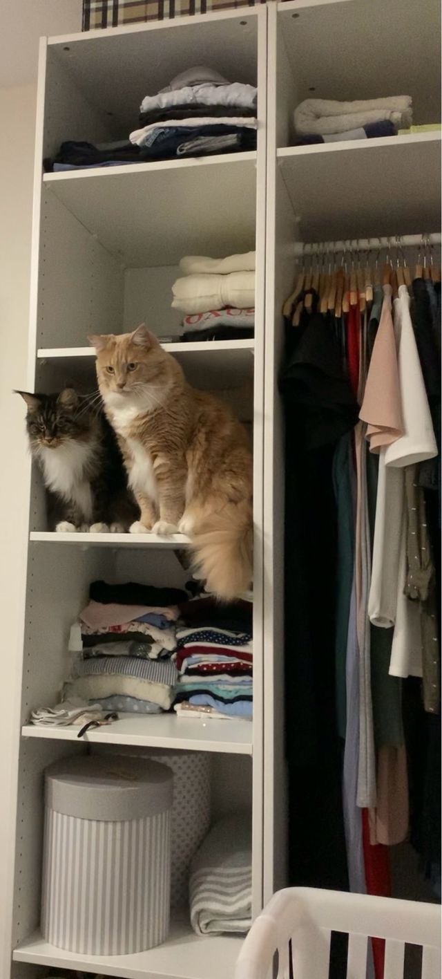 Estructura armario PAX IKEA blanco con 6 baldas