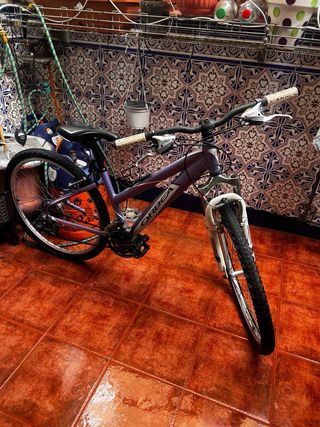 Bicicleta Orbea Paradise MTB 26” Morada