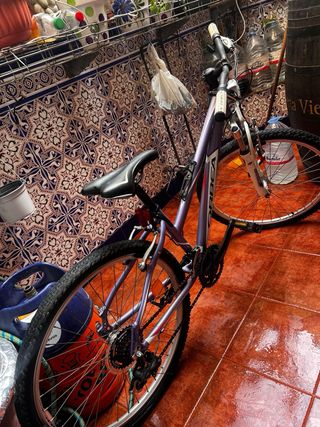 Bicicleta Orbea Paradise MTB 26” Morada