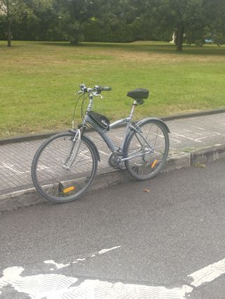 Bicicleta Gris Talla Única