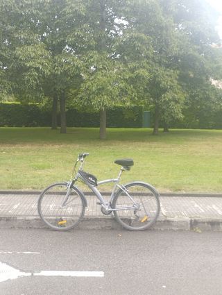 Bicicleta Gris Talla Única