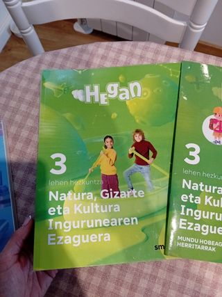 LIBROS NUEVOS  INGLES , LENGUA Y PLÁSTICA