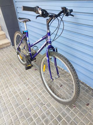 Bicicleta Globe Trotter 26 Pulgadas 18 Velocidad