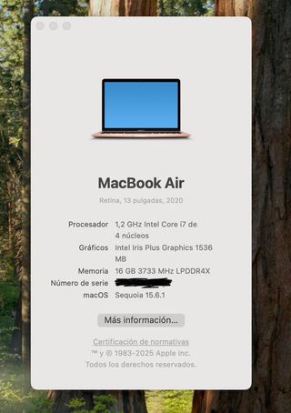 Macbook Air 2020 Oro Rosa 13 16GB RAM