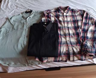 Lote de 3 Camisas