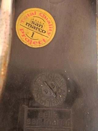 Selle San Marco Rolls