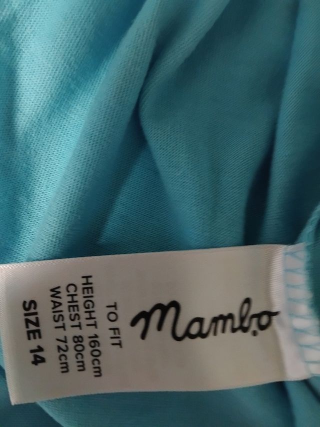 Maglia Mambo ss cobra tee aqua