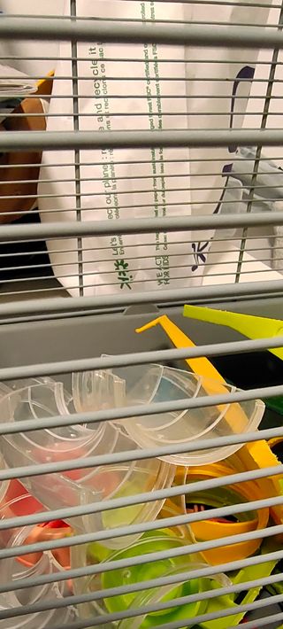 Jaula completa  para hámster con accesorios