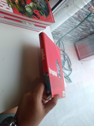 Dragon Ball nº 02/34 PDA