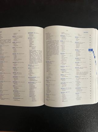 Diccionario Escolar de Sinónimos y Antónimos VOX