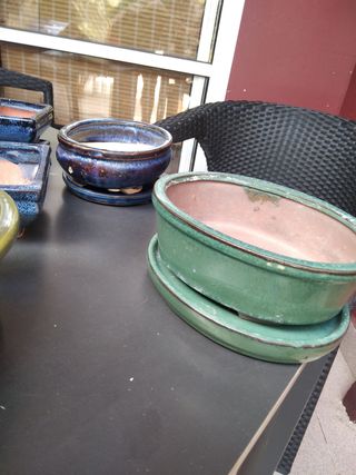 7 juegos de macetas de cerámica para bonsái