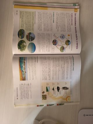 BG 4 (BIOLOGIA Y GEOLOGIA) ESO AULA 3D